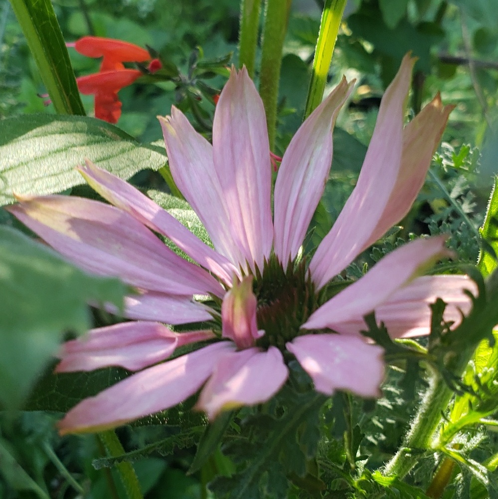 Meet your Posher, Bj